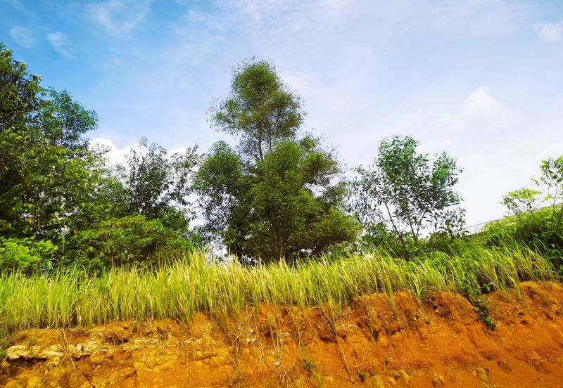Taman Perindustrian Meranti Utama
