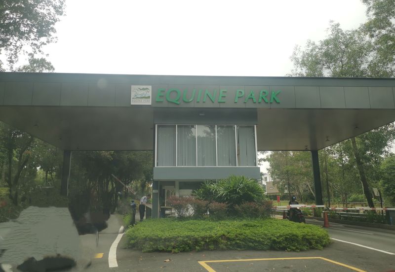 Equine Park