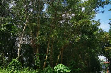 Jalan Cheras Jaya 2/11-1A 