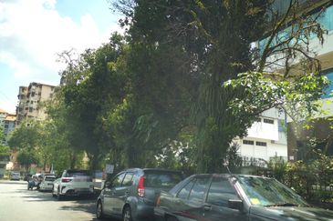 Taman Shamelin Perkasa