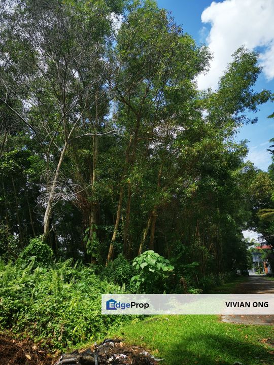 6 acres Residential Land for sale, Sungai Choh, Rawang, Selangor, Selangor, Rawang