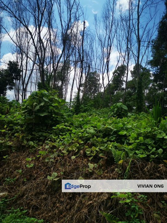 6 acres Residential Land for sale, Sungai Choh, Rawang, Selangor, Selangor, Rawang