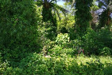 11 acres Industrial Land For Sale, Batang Kali, Batang Kali, Selangor