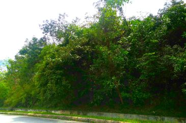 11 acres Industrial Land For Sale, Batang Kali, Batang Kali, Selangor