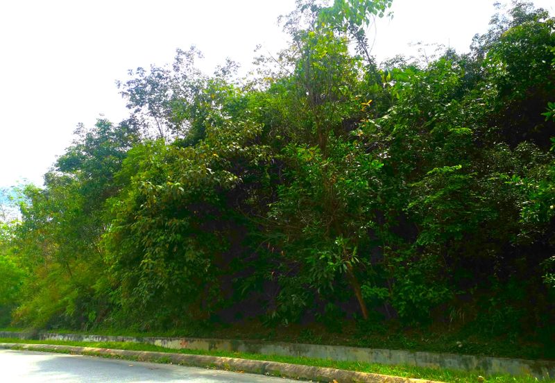 11 acres Industrial Land For Sale, Batang Kali, Batang Kali, Selangor