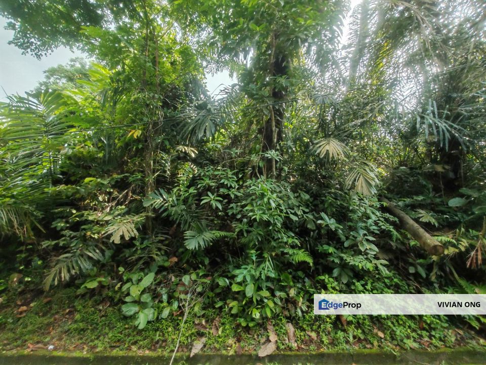 1.5 storey Bungalow House with 12ksf land area, Freehold, Travers, Bangsar, Federal Hill, Bukit Persekutuan, Kuala Lumpur, Kuala Lumpur, Bangsar