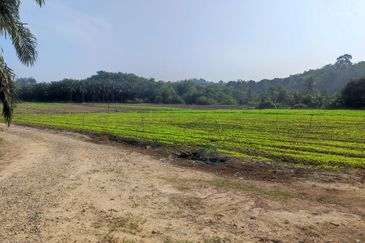 Batang Kali Malay Reservation