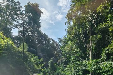 Batang Kali Malay Reservation