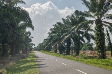 Sungei Lalang