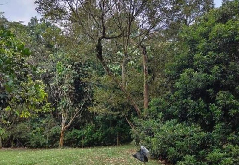 2 acres Agricultural land for sale, RM300k, Sungai Jang, Kerling, Kuala Kubu Bahru, Selangor