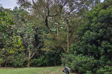 2 acres Agricultural land for sale, RM300k, Sungai Jang, Kerling, Kuala Kubu Bahru, Selangor