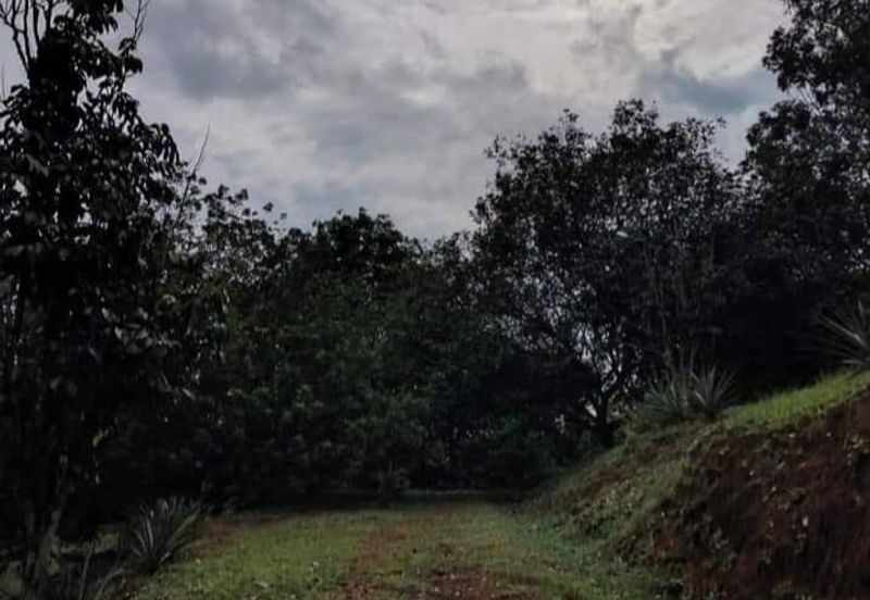 2 acres Agricultural land for sale, RM300k, Sungai Jang, Kerling, Kuala Kubu Bahru, Selangor