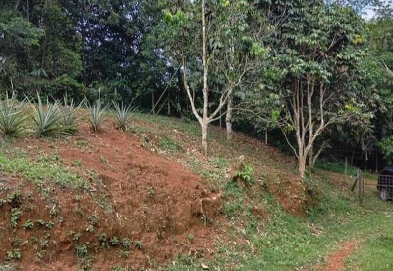 2 acres Agricultural land for sale, RM300k, Sungai Jang, Kerling, Kuala Kubu Bahru, Selangor