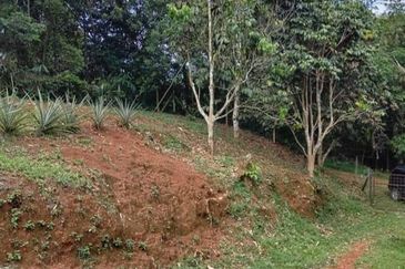 2 acres Agricultural land for sale, RM300k, Sungai Jang, Kerling, Kuala Kubu Bahru, Selangor