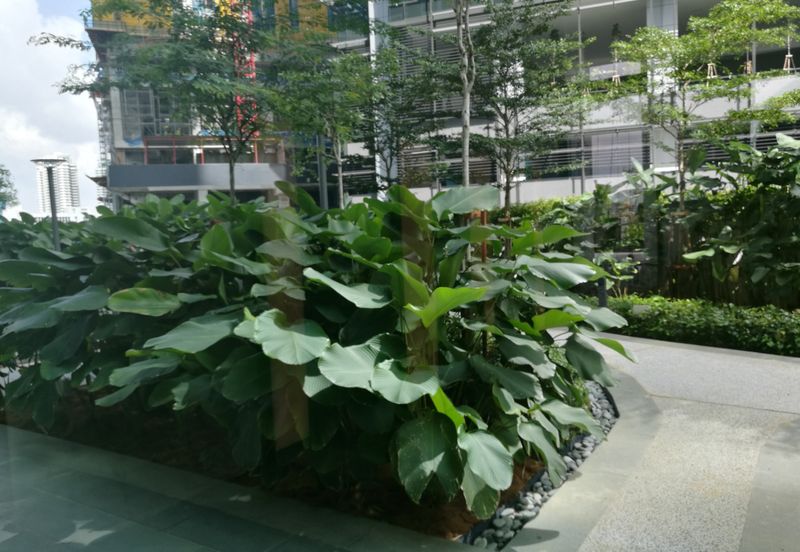 Vogue Suites 1 @ KL Eco City