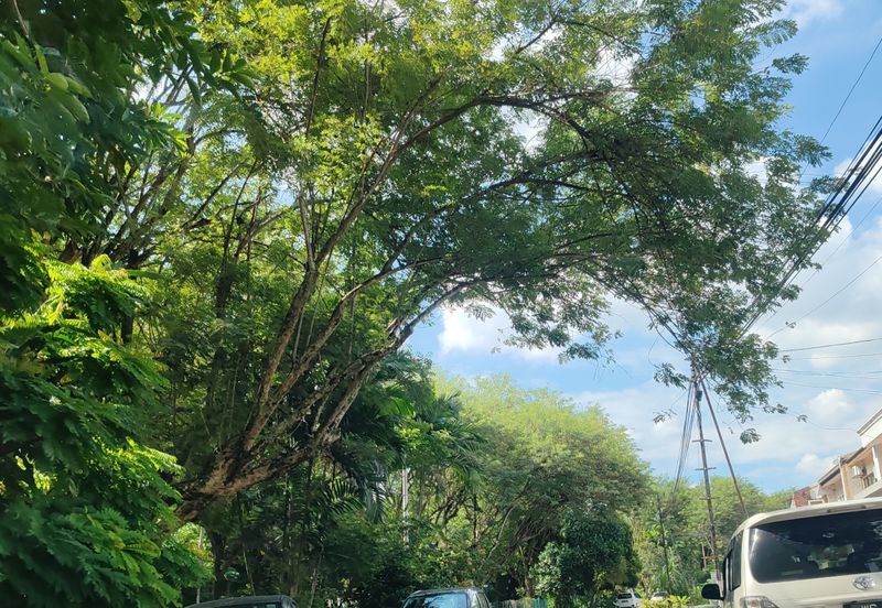 29x56 Land Size, @ storey terrace with extra land, facing Jalan Desa, Taman Desa, Price dropped, Kuala Lumpur