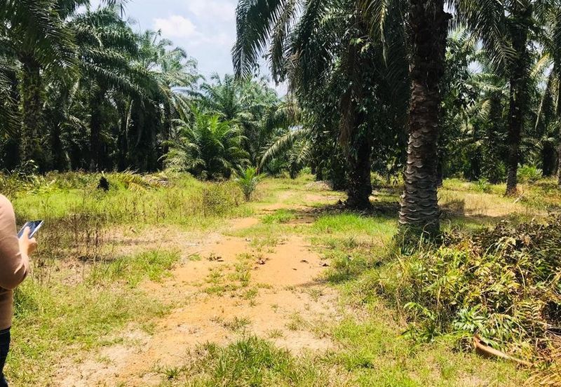 Kundang Industrial Park (Kawasan Perindustrian Kundang)