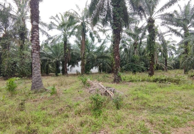 Kundang Industrial Park (Kawasan Perindustrian Kundang)