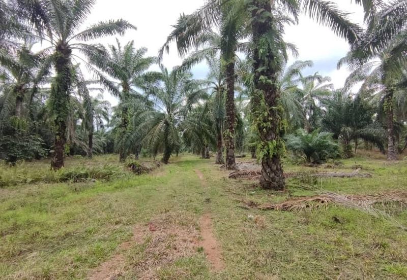 Kundang Industrial Park (Kawasan Perindustrian Kundang)