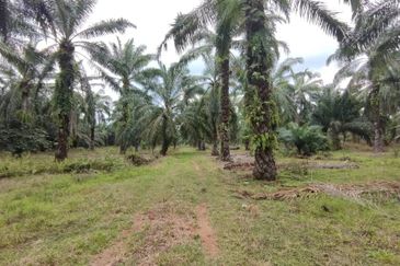 Kundang Industrial Park (Kawasan Perindustrian Kundang)