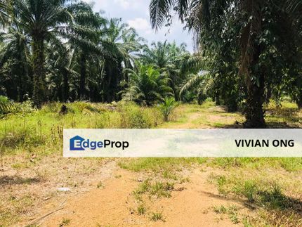 32 acres of Industrial Land for sale, Kundang, Rawang, Selangor, Selangor, Rawang