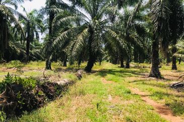 Kundang Industrial Park (Kawasan Perindustrian Kundang)