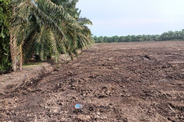 Agricultural land for rent, Kuala Selangor, Kampung Raja Musa, Flat vacant Land for rent, Storage or Warehouse, Selangor