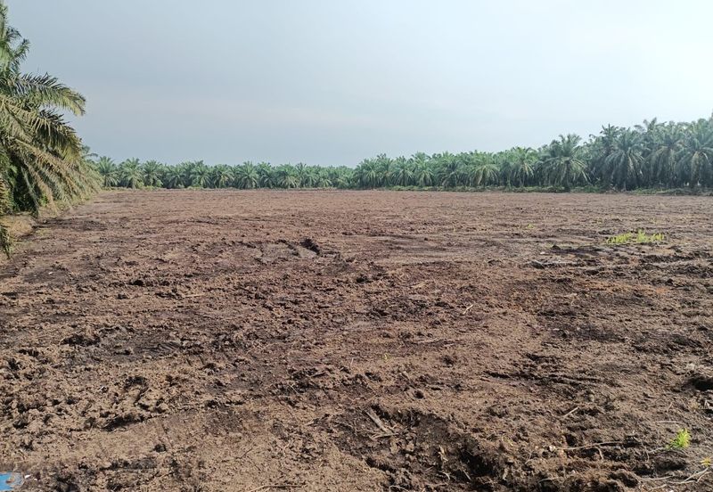 Agricultural land for rent, Kuala Selangor, Kampung Raja Musa, Flat vacant Land for rent, Storage or Warehouse, Selangor