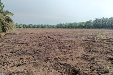 Agricultural land for rent, Kuala Selangor, Kampung Raja Musa, Flat vacant Land for rent, Storage or Warehouse, Selangor