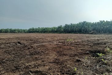 Agricultural land for rent, Kuala Selangor, Kampung Raja Musa, Flat vacant Land for rent, Storage or Warehouse, Selangor