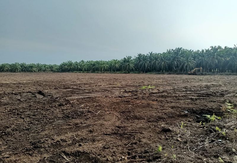 Agricultural land for rent, Kuala Selangor, Kampung Raja Musa, Flat vacant Land for rent, Storage or Warehouse, Selangor