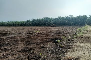 Agricultural land for rent, Kuala Selangor, Kampung Raja Musa, Flat vacant Land for rent, Storage or Warehouse, Selangor