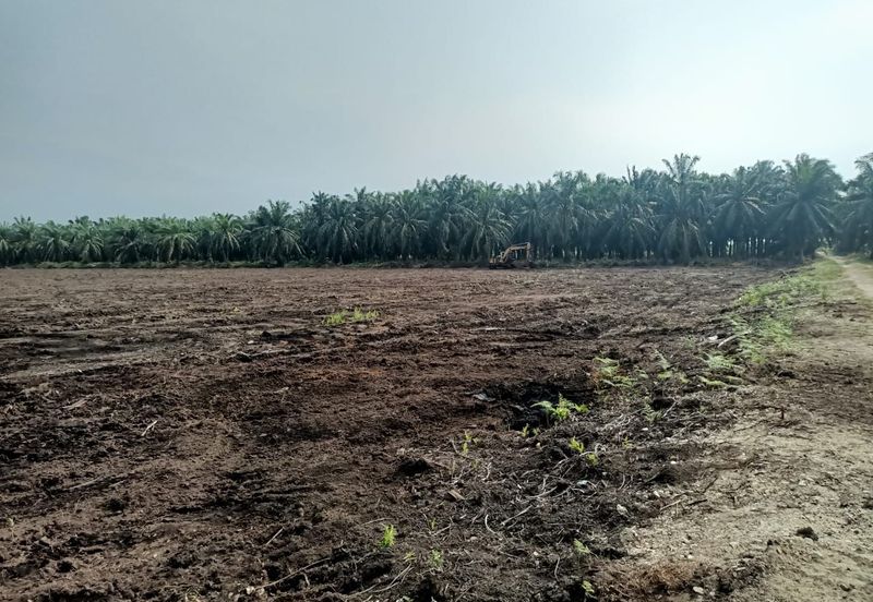 Agricultural land for rent, Kuala Selangor, Kampung Raja Musa, Flat vacant Land for rent, Storage or Warehouse, Selangor
