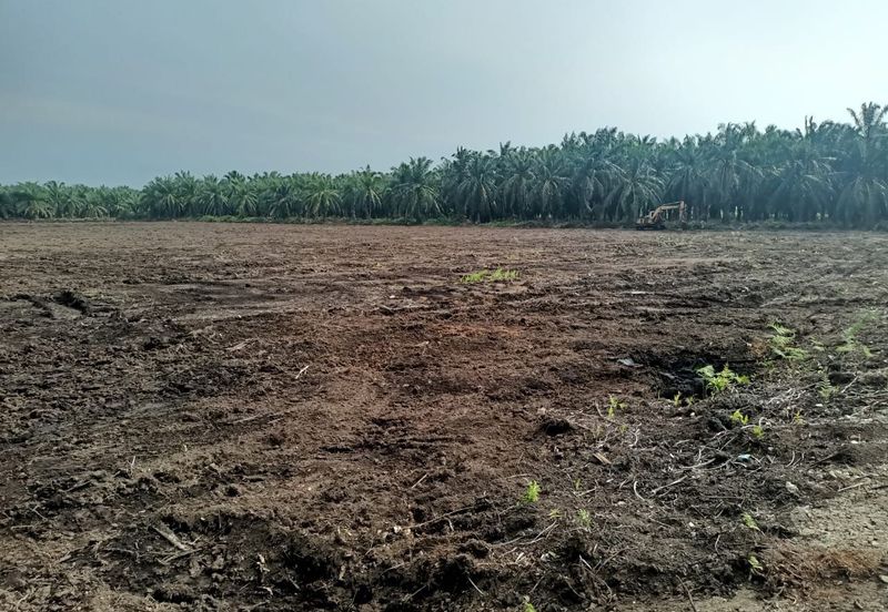 Agricultural land for rent, Kuala Selangor, Kampung Raja Musa, Flat vacant Land for rent, Storage or Warehouse, Selangor
