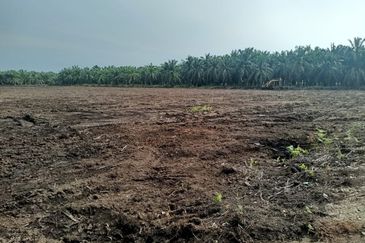 Agricultural land for rent, Kuala Selangor, Kampung Raja Musa, Flat vacant Land for rent, Storage or Warehouse, Selangor