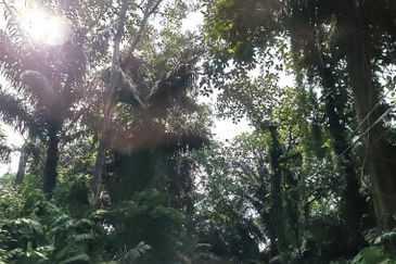 Kawasan Industri Teluk Gong