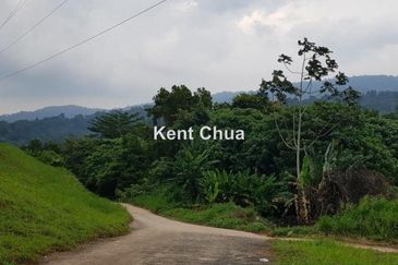 Sungai Buloh, Selangor