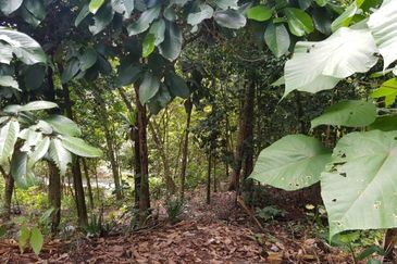 Country Heights Damansara