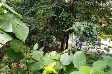 Country Heights Damansara