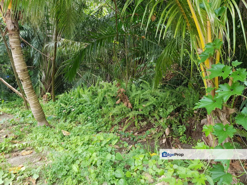 Kampung Baru Subang, Selangor, Shah Alam