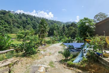 Sungai Buloh, Selangor