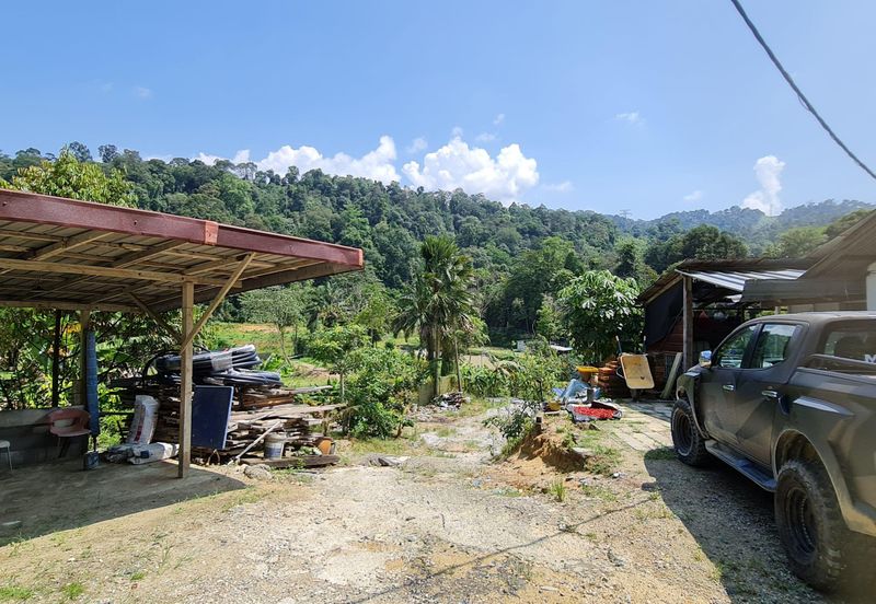 Sungai Buloh, Selangor