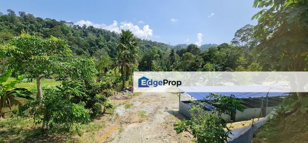 Sungai Buloh, Selangor, Selangor, Sungai Buloh