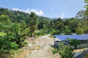 Sungai Buloh, Selangor