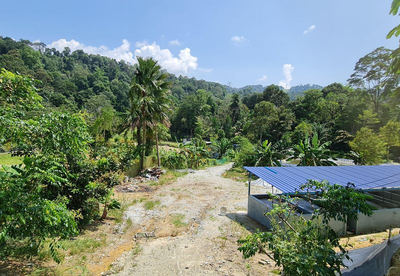 Sungai Buloh, Selangor