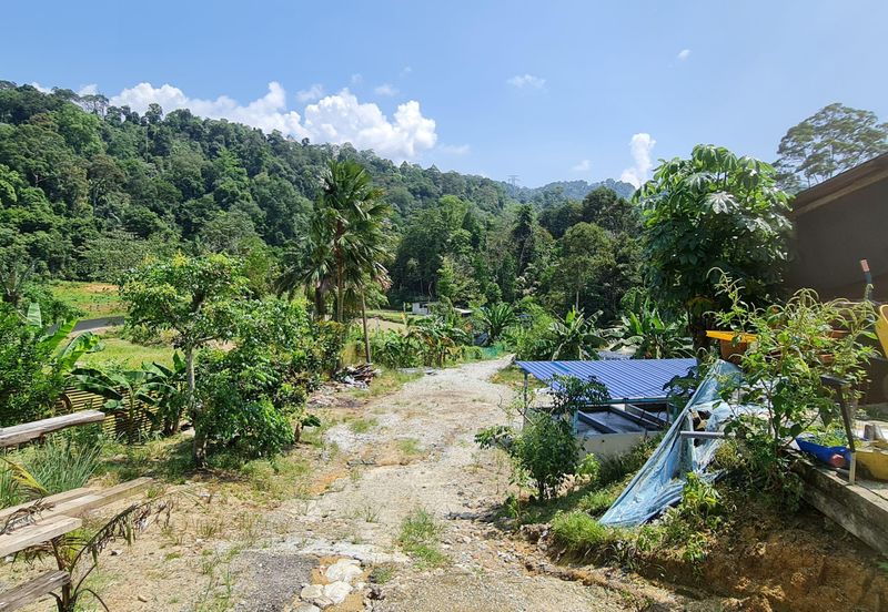 Sungai Buloh, Selangor