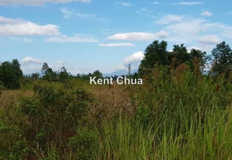 Sungai Buaya, Serandah, Rawang