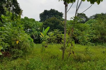 Kampung Baru Sungai Buloh
