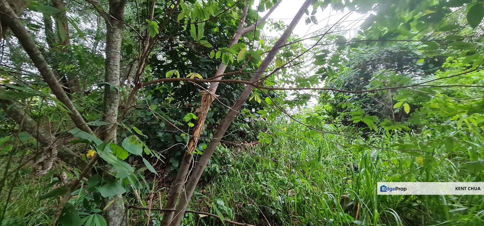 Bukit Segambut, Segambut, Kuala Lumpur Limited 1 acre development land!, Kuala Lumpur, Segambut