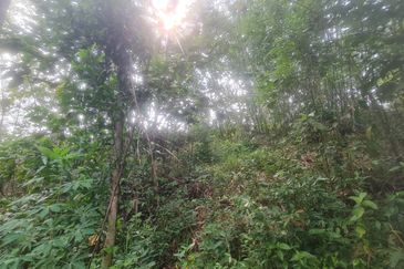 Bandar Baru Selayang